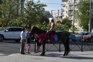 Администрация Астрахани в очередной раз просит горожан не сажать детей на лошадей и не кататься самим