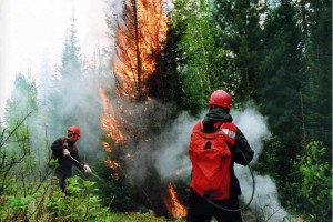 Астраханские выпускники могут попробовать себя в новой специальности – «лесной пожарный»