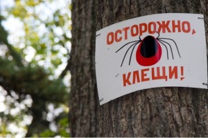 В Астраханской области 4 человека из-за клещей заболели Крымской геморрагической лихорадкой