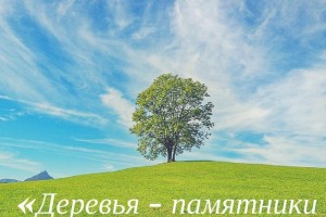 Астраханцы могут принять участие в конкурсе «Дерево – памятник живой природы»