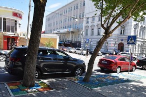 На улицах Астрахани появились картины из щепы