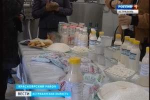 Астраханцам - местное молоко! Завод в Красноярском районе готов расширить отпускную сеть
