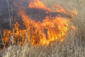 В ближайшие пять дней в Астраханской области установится четвёртый класс пожароопасности