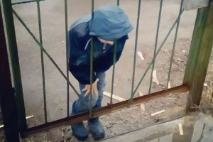 В Астрахани спасатели освободили ребёнка, застрявшего между решёток ворот