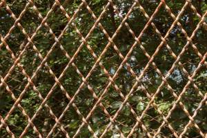 В Астрахани ребенок застрял в заборе и не смог выбраться самостоятельно