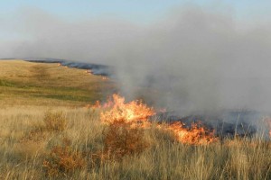 В Астраханской области возможны степные пожары