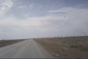 Очевидец снял на видео полчище саранчи на трассе в сторону Астраханской области