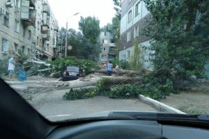 В Астрахани большое дерево сорвало сплит-системы и раздавило автомобиль