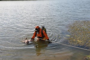 В Астраханской области на реке местные жители нашли тело мужчины
