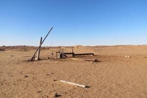 Конфликты пастухов, погибающие скот и арбузы: Астрахань переживает страшную засуху