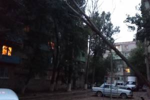 В Астрахани не перестают падать деревья