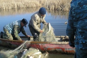 Астраханский губернатор возмущён копеечными штрафами за браконьерство