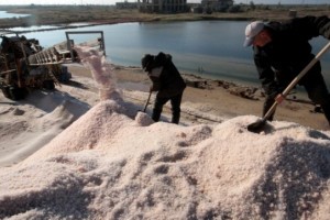 В Астраханской области из озера украли соли на 2,5 миллиона рублей