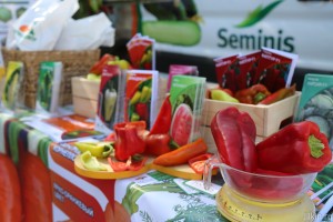 На "Дне Астраханского поля" было представлено 56 новых сортов овощей