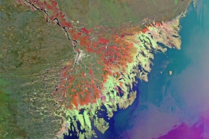 В Роскосмосе одобрена заявка Астраханской области на космическую съемку