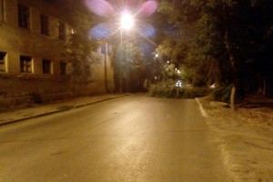 Ночью в Астрахани на дорогу рухнуло дерево