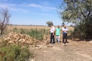 История с кладбищем коров в Астраханской области получила продолжение