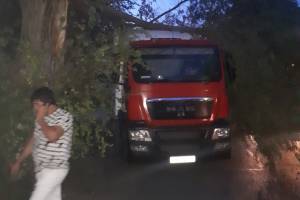 В Астрахани на фуру рухнуло дерево