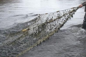 В Астраханской области у мужчины изъята 60-метровая сеть, с помощью которой он незаконно выловил рыбу