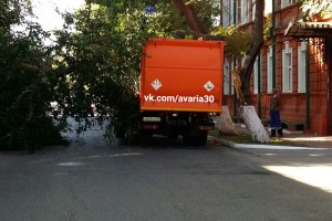 В Астрахани на мусоровоз упало дерево