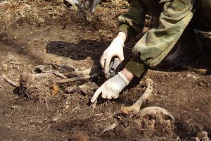 Астраханские поисковики продолжают находить останки погибших бойцов в годы войны