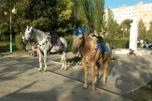 Где в Астрахани можно легально кататься на лошадях