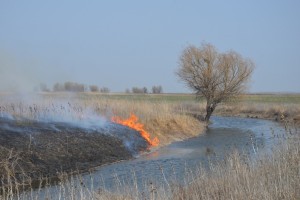 В Астраханской области объявлен 5-й класс пожароопасности