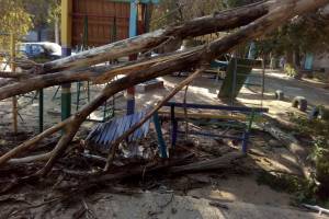 В Астрахани дерево разгромило детскую площадку