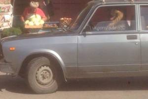 Собака за рулем &#171;Жигулей&#187; на астраханском рынке покорила интернет