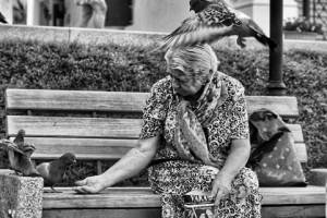 История пожилой астраханки, которая ищет любимого голубя, потрясала соцсети