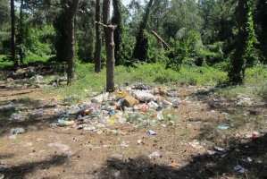 В Астраханской области на территории заповедников обнаружили мусорные свалки