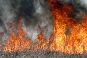 В Астраханской области зарегистрировано 9 случаев загорания сухой растительности