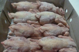 Пограничники не впустили в Астрахань 1,5 тонны халяльных цыплят