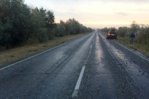 Сегодня утром в Астраханской области из-за каравана верблюдов произошло ДТП