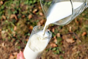 В Астрахани пресечена поставка в детские сады несоответствующего требованиям ГОСТ молока