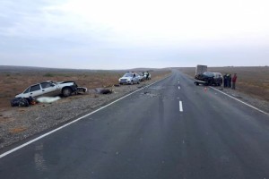 Жители Черкесска и Узбекистана погибли из-за коровы на трассе Астрахань – Ставрополь