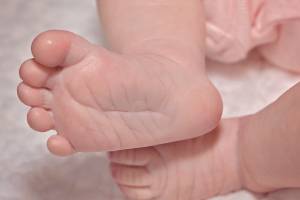 С 1 октября в астраханских роддомах приостановили регистрацию новорожденных