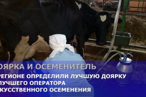В Астраханской области выбрали  «Лучшего оператора машинного доения коров»
