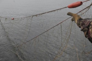 В Астраханской области дроны помогли поймать рыбака с 90-метровой сетью