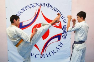 Каратисты из Волгоградской области и Дагестана выступят на первенстве по киокусинкай в Астрахани