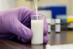 Роскачество нашло в молоке большинства торговых марок следы антибиотиков