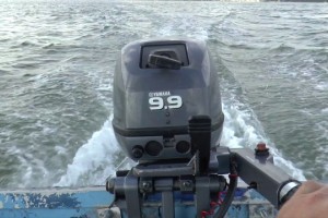 В Астраханской области задержали рыбаков с похищенным лодочным мотором
