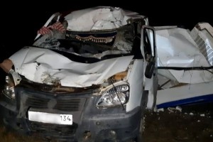 Верблюд погиб под колёсами грузовика на трассе Волгоград – Астрахань