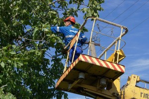 В Астраханской области энергетики расчистили от деревьев почти 430 га линий электропередачи
