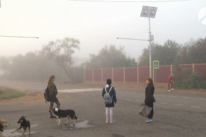 Астраханцы вынуждены стоять в длинных очередях по 40 минут, чтобы уехать на работу и учёбу
