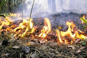 МЧС предупреждает о высокой пожароопасности на территории Астраханской области