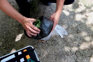 В Астрахани наркоман бросил своих друзей с пакетом конопли, чтобы избежать ареста