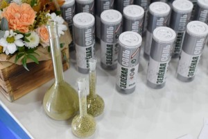 Врио губернатора Астраханской области показали зелёную соль и робота-агронома