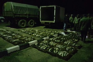 Пограничники не пропустили в Астраханскую область перевозчиков рыбы и лука