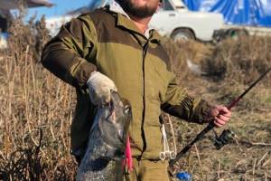 В Астрахани поймали 17-килограммовую рыбу мечты